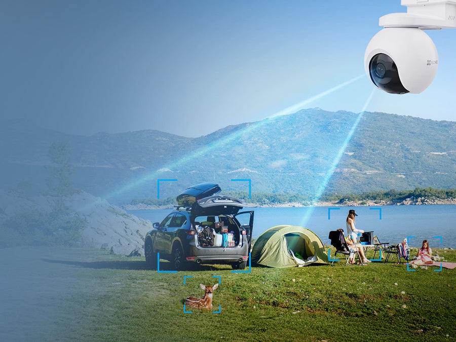 AI Human, Vehicle & Animal Detection